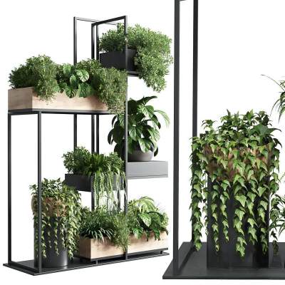 现代绿植盆栽植物架-01